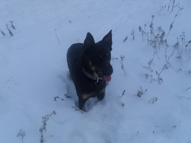 Ja i mój psiak Szila!