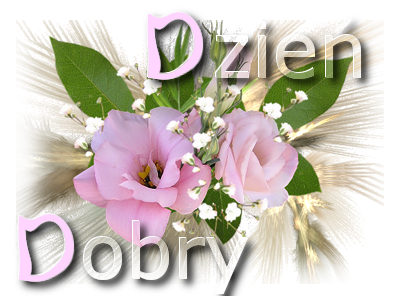 DLACZEGO NIGDY NIE MOZNA MIEC