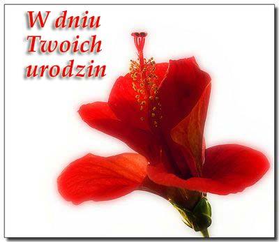 Z Okazji Urodzin!!!