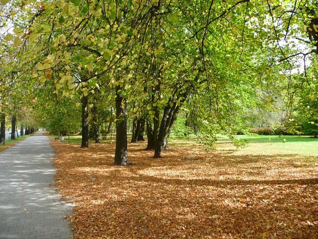 Łódzki park 