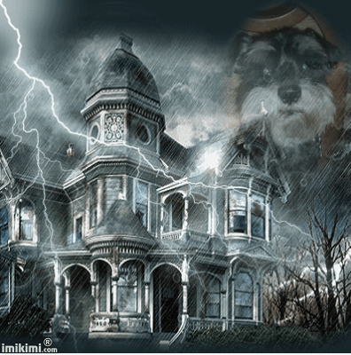 Dla kochanego homerka