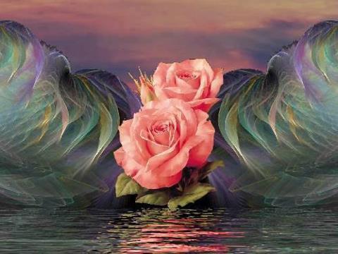 docenic co sie stracilo