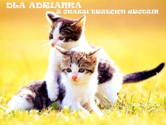 ADRIANKU TO DLA CIEBIE Z OKAZJI TRZECICH URODZIN