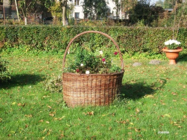 Moj spacer po uliczkach Pokoju i rozmyslania