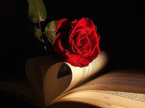 Dla Ciebie Hieronimie