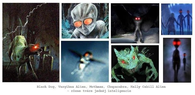 Dziwny jest ten świat