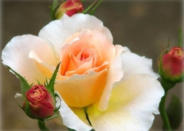 WSZYSTKIEGO CO NAJLEPSZE!!!!!!!!!!