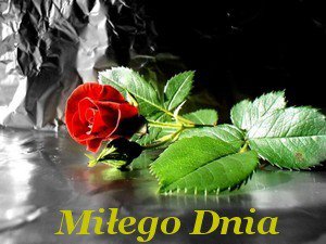 GOSI NA UODZINY 2012