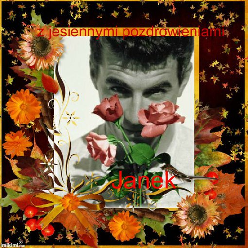 Z JESIENNYMI POZDROWIENIAMI