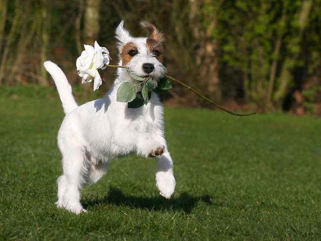 Najlepsze Życzenia Urodzinowe