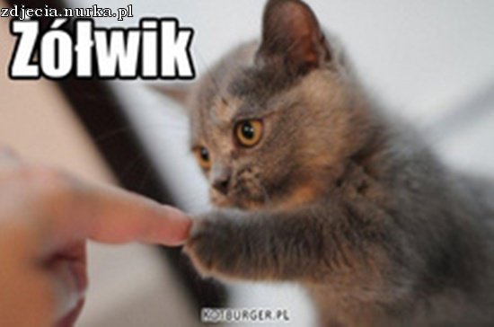 ,,ŻÓŁWIK''-NA WESOŁO