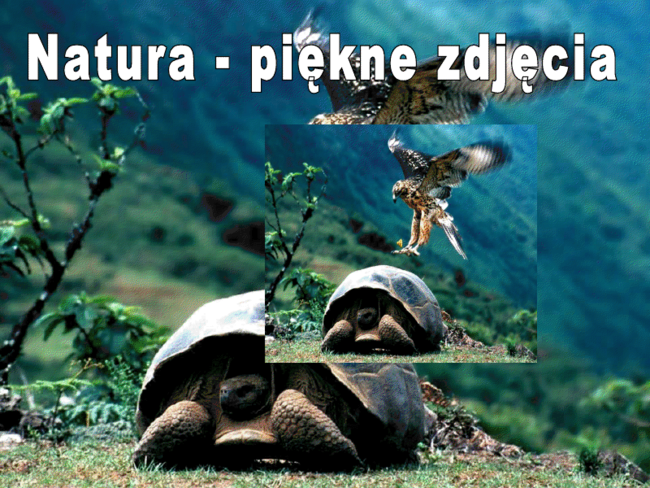 Natura - piękne zdjęcia