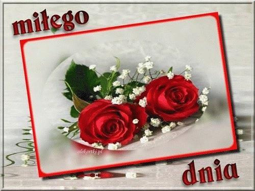 MÓJ SWIAT MOJE ZYCIE