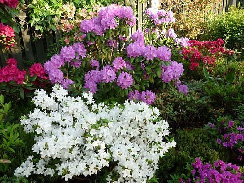 Witam serdecznie miłego przyjaciela i pozdrawiam.