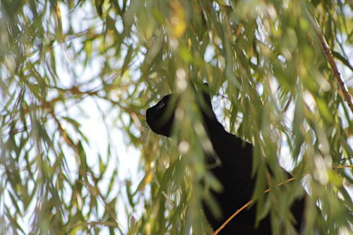 Pozdrawiam cieplutko...