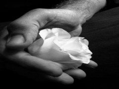 Wspomnienie o Wiolecie