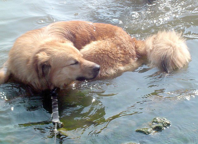 Coś dalej do Cb czuję .