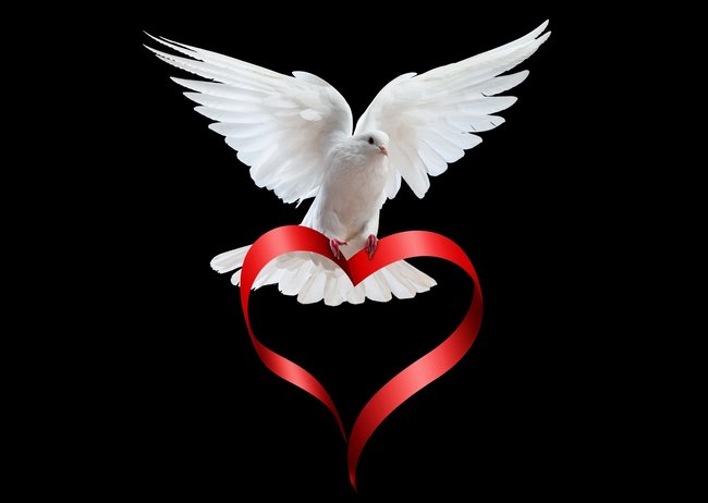 Marzenia są piękne krążą wokół nas .