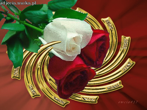 Kolejny dzień przynosi nam nowe szanse i wierze że nie skończy się tak jak zawsze nadzieja