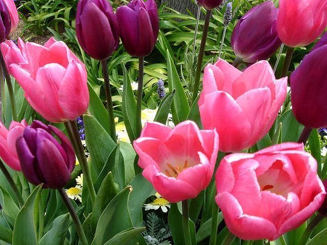 Dobry wieczór i serdecznie pozdrawiam.