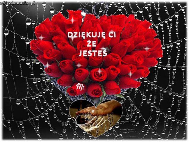 Mariusz Kalaga - Jedna z Gwiazd