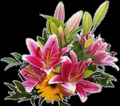 DLA  MAŁGORZATY G.  W    DNIU   URODZIN.