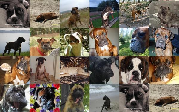 Moi Naj Przyjaciele-W Tęczowej Krainie