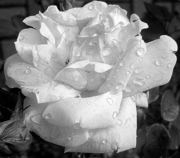 Dla Kochanej Przyjaciółki Beaty:)