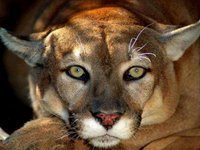 Moi Przyjaciele z Facebook !