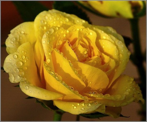 DLA CIEBIE..PRZYJACIELU !!