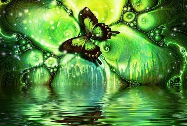 NOCNYMOTYL1 - ZAKALA SLAJDZIKA