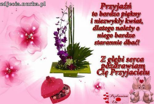 POZDRAWIAM PRZYJACIÓŁ