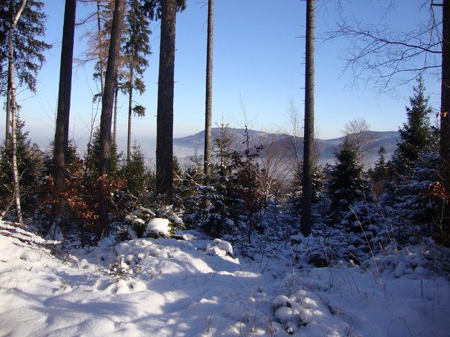 Ognisko na Koziej Górce