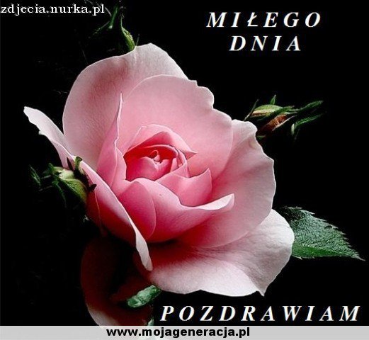 URODZINKI GRAŻYNKI !!!