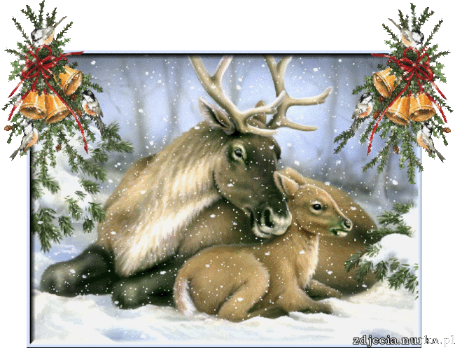 ZDROWYCH   I  WESOLYCH  SWIAT   BOZEGO  NARODZENIA