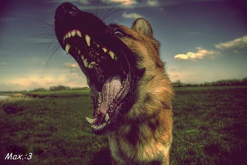 Kocham cie, mimo to...