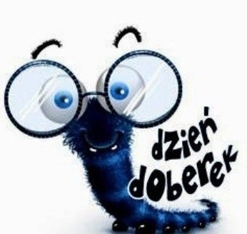 JEDYNA W SWOIM RODZAJU MIŚKA