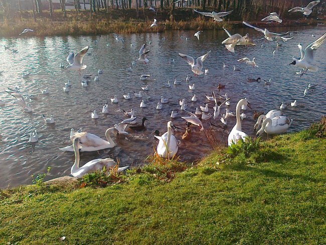 POZDROWIENIA  DLA PRZYJACIOL :))))