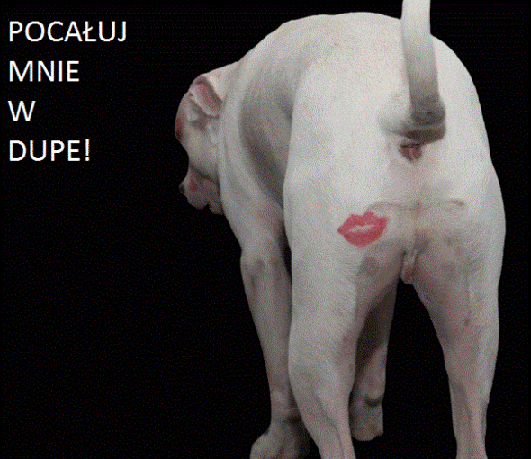 Dla tych co jedynkują