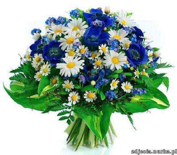 RENIA    KRAWCZYK  -   BUZIACZKI    DLA  CIEBIE