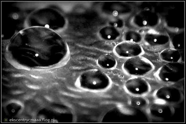 W perły zmianiam deszcz:)