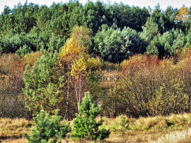 Najserdeczniejsze życzenia