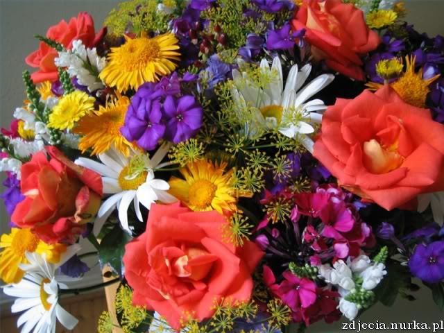 GOOD  ##   MORNING  ##   DZIEN   DOBRY  -  SMACZNEJ  KAWUSI