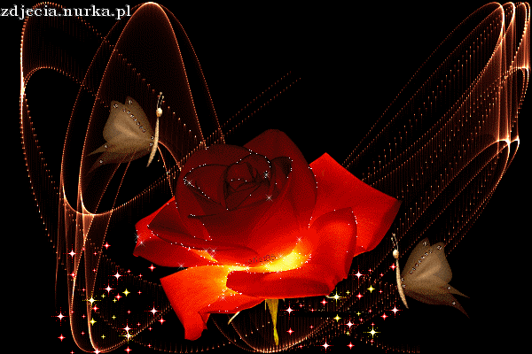 Dziś Twoje imieniny!!!  (  Ewik1 ten slajdzik dla Ciebie ! w prezencie )