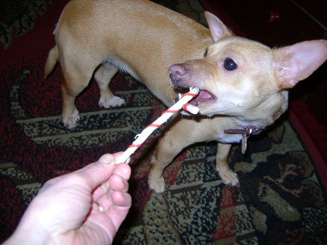 Boże Narodzenie 2012