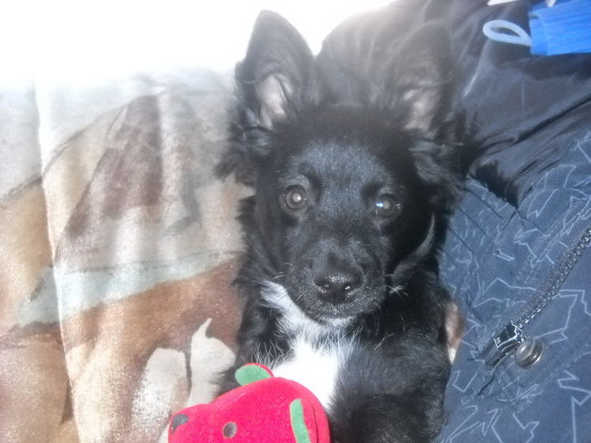 Z tobą na zawsze :*...:(