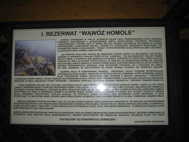 Wąwóz Homole