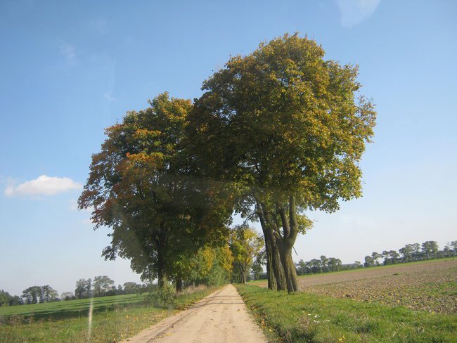 Jesień-Pazdziernik -2010