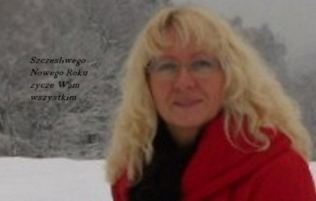 Wszystkiego najlepszego na Rok 2013 Jadzia