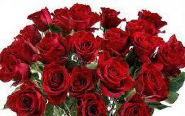 WSZYSTKIEGO NAJLEPSZEGO WIOLETKO